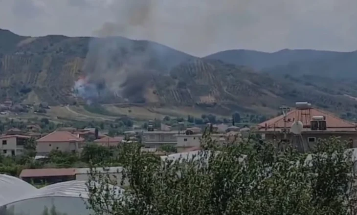 Vatër zjarri në Peqin, era e fortë dhe temperaturat e larta ndihmojnë përhapjen
