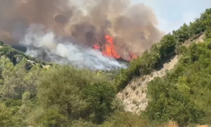 Vatra e zjarrit ende aktive te ‘Syri i Kaltër’ në Sarandë, flakët përhapen me shpejtësi nga era