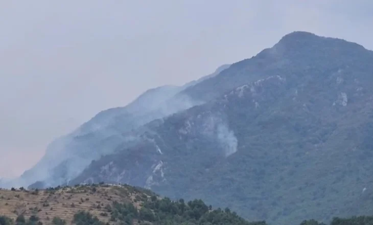 Vatra e zjarrit në Martanesh, flakët po djegin masivin pyjor në ‘Luginën e Valit’