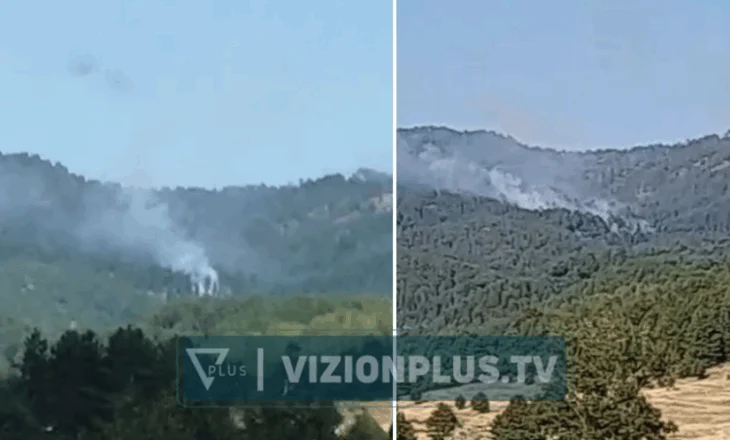Vatra të reja zjarri në Kolonjë, në afërsi të Shelegurit