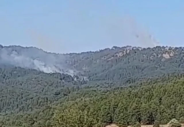 Vatra të reja zjarri në Kolonjë