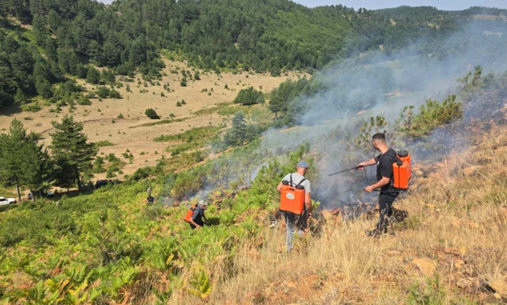 Vatrat e zjarrit nën kontroll! Bashkitë, grupe pune për verifikikmin e dëmeve në terren