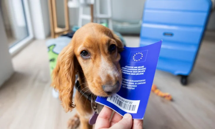 Vendet që nuk lejojnë hyrjen e kafshëve shtëpiake pa “pasaportë” dhe çertifikim shëndetësor veterinar