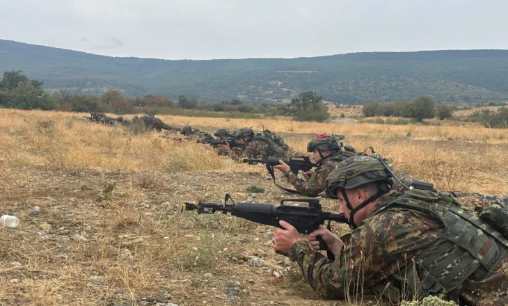 Vengu: Mbi 500 ushtarakë shqiptarë të angazhuar në misione të NATO-s, BE dhe OKB
