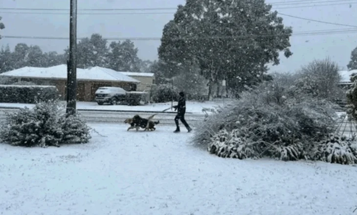 VIDEO/ E rrallë! Australia mbulohet nga reshjet e dëborës, trashësia shkon në 50 centimetra