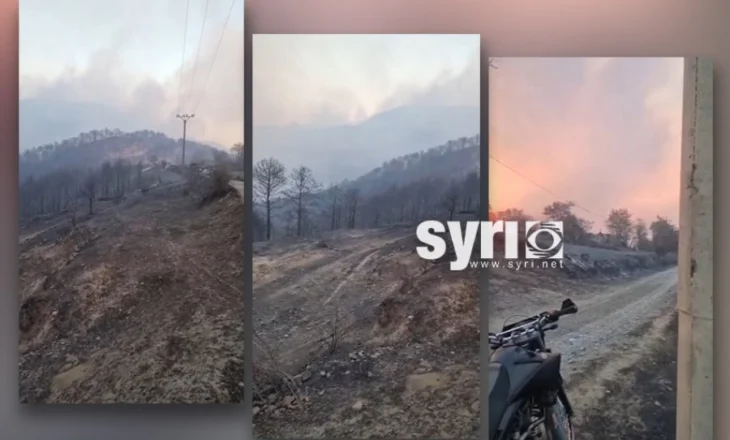 VIDEO/ Masakër mjedisore, zjarri lë pas mijëra hektarë pyje me pisha të djegura në Skënderbegas