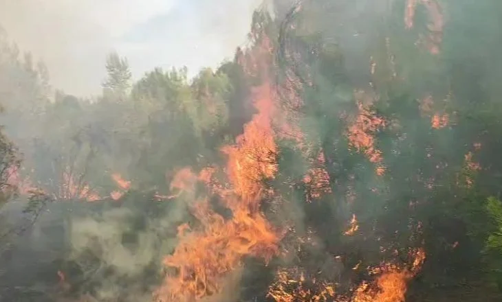 VIDEO / Pylli i Pishë-Poros në Vlorë prej dy ditësh në flakë, tymi mbulon zonën! Vështirësohet ndërhyrja