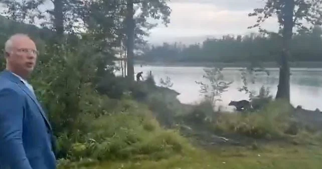 VIDEO/ ‘Takoi’ një ari në Alaskë, i dërguari special i Putinit: Kjo është shenjë e mirë për takimin