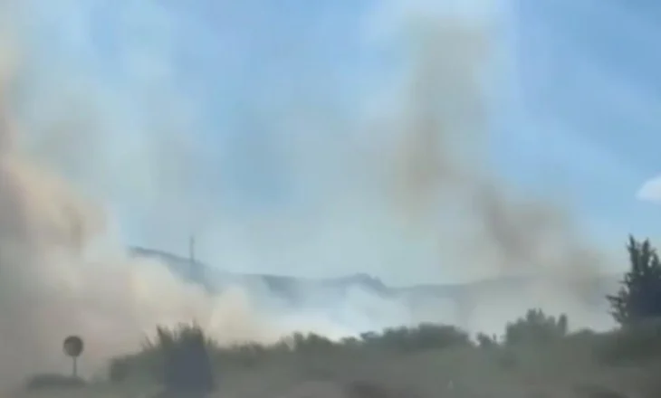 VIDEO/ Zjarr në Orikum