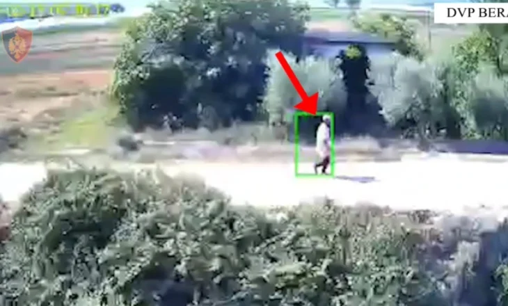 Vihen në pranga 4 zjarrvënës në Berat, u dogjën toka me pemë frutore dhe ullinj