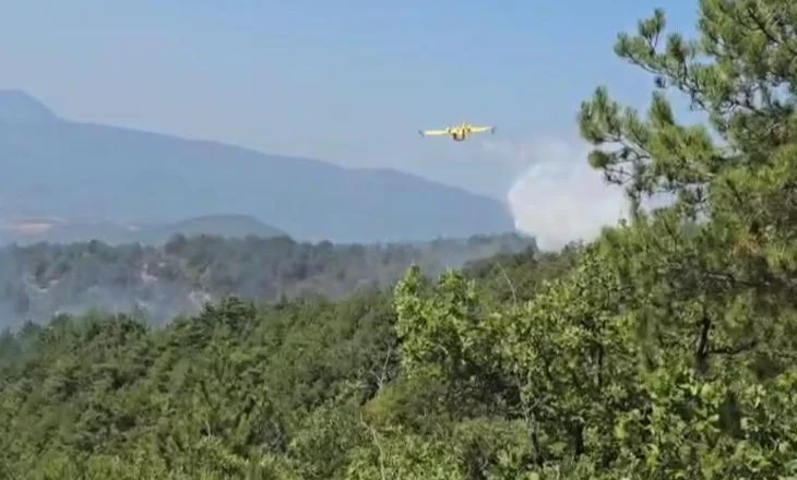 Vihet nën kontroll zjarri në Mirditë, digjen dhjetëra hektarë pisha