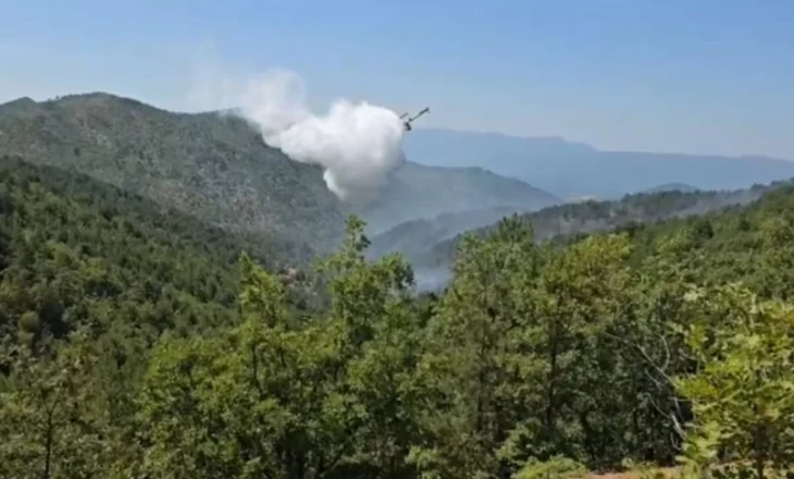Vijojnë zjarret në Finiq dhe Mirditë/ Ndërhyjnë nga ajri “Black Hawk” dhe “Canadair”, zjarrfikësit pozicionohen përreth fshatit Livinë