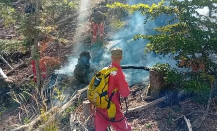 Vijon ‘lufta’ me flakët! 34 vatra në 24 orë- Zjarri prek edhe Parkun e Gërmenjit
