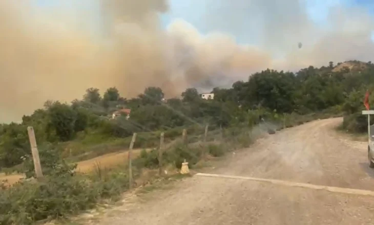 Viktima e parë nga zjarret në vendin tonë, reagon Ministria e Mbrojtjes