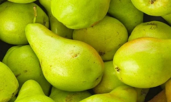 Vlerat e rralla të dardhave shqiptare, zbulojini këtu￼