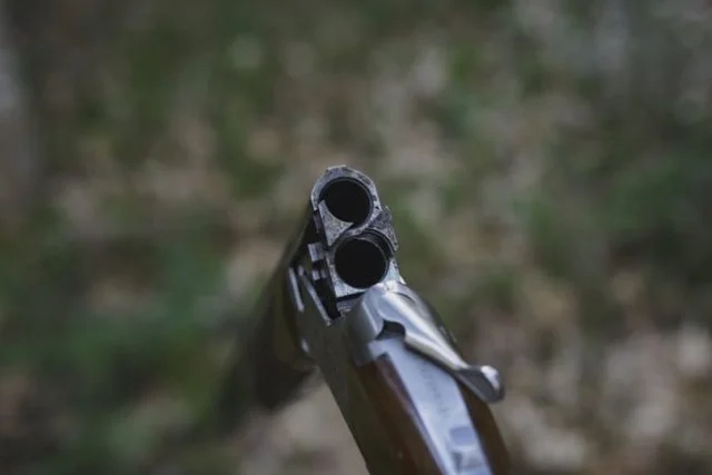 Vrau fqinjin, duke e ngatërruar me derrin në arën me misra/ Arrestohet 53-vjeçari në Berat (EMRAT)