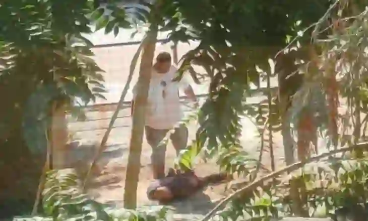 Vrau gruan në sy të fëmijëve/ 40-vjeçari fshihej në një parcelë toke: Ia bëra mirë, më tradhtonte
