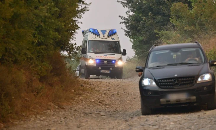 Vritet me thikë 32-vjeçari në Divjakë, shkak konflikti për kanalin vaditës, kapet autori