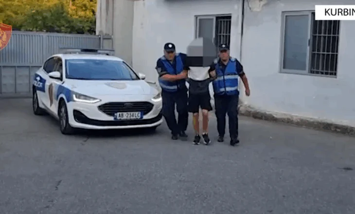 Zbardhen disa vjedhje në Lezhë dhe Laç, arrestohet 25-vjeçari, në kërkim bashkëpunëtori