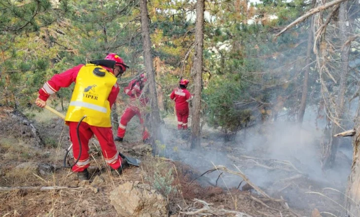 Zgjerohet sipërfaqja e zjarreve në Parkun e Gërmenjit, në terren 65 forca
