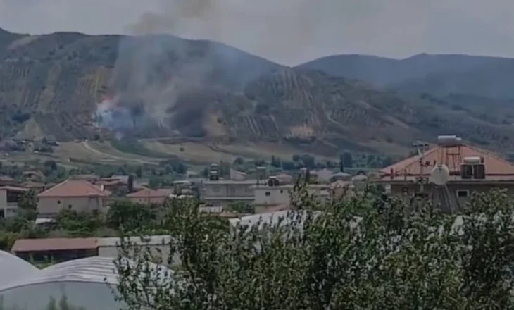Zjarr edhe në Peqin/ Flakët përfshijnë sipërfaqen me ullinj e shkurre