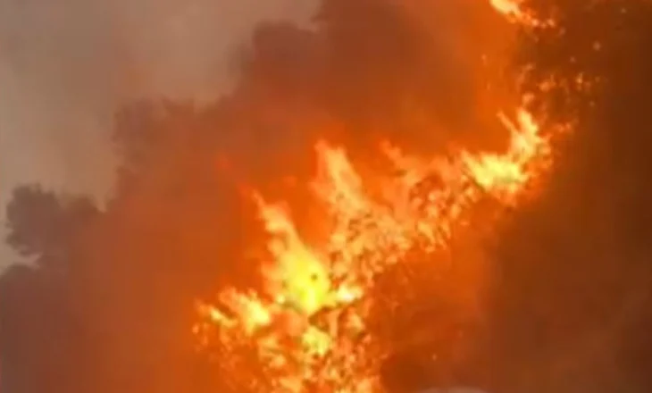Zjarr gjatë natës në Bogovë, flakët u favorizuan nga era dhe temperaturat