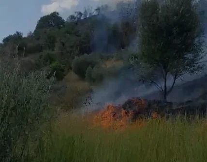 Zjarr masiv në Cërrik, rrezikohen banesat, bizneset dhe dhjetëra hektarë tokë. Dyshohet i qëllimshëm