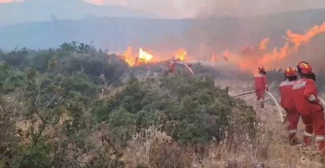 Zjarr masiv në fshatin Bolenë, rrezikohen banesat e banorëve