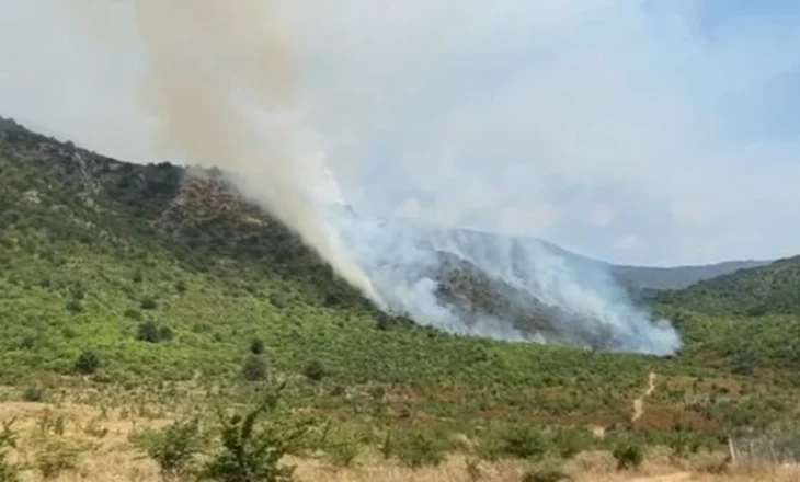 Zjarr masiv në kodrat e Tragjasit, flakët përfshijnë pyjet, terreni vështirëson ndërhyrjen
