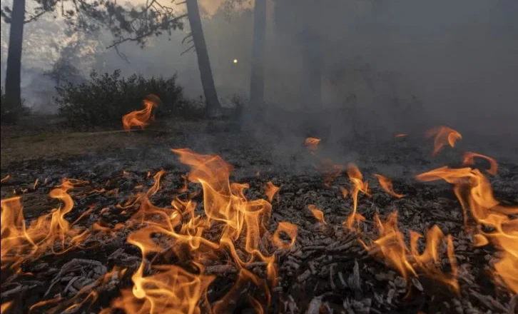 Zjarr në fshatin ‘Katund i Vjetër’ në Mirditë, flakët djegin masivin pyjor, forcat zjarrfikëse në terren