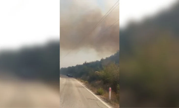 Zjarr në fshatin Vajzë të Selenicës, digjen sipërfaqe të konsiderueshme me ullishte dhe pemëtari