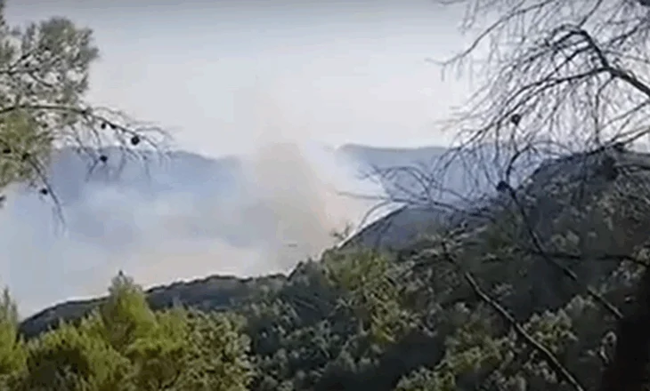 Zjarr në Gjynaqarë të Patosit, flakët përfshijnë pyllin me pisha