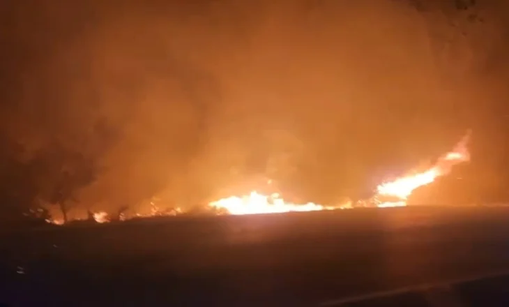 Zjarr në kodrat e fshatit Drashovicë të Selenicës, flakët përhapen nga era e fortë