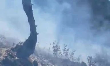 Zjarr në malin e Skërficës/ Rrezik për pyllin e mbrojtur të Pikësit, kërkohet ndërhyrje nga ajri