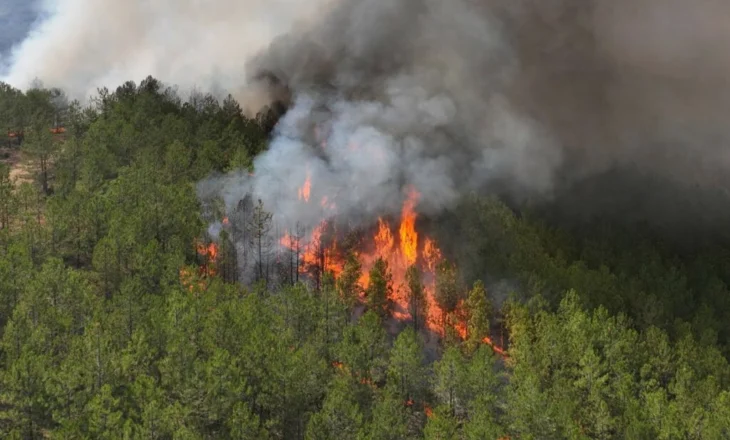 Zjarr në malin e Skërficës, rrezikohet pylli kombëtar i Pikësit