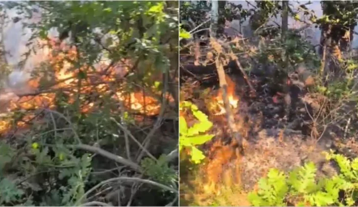 Zjarr në Miras të Devollit, flakët përhapen në një sipërfaqe pyjore