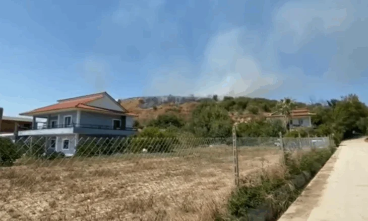 Zjarr në një ullishte në Sejmenas të Fierit
