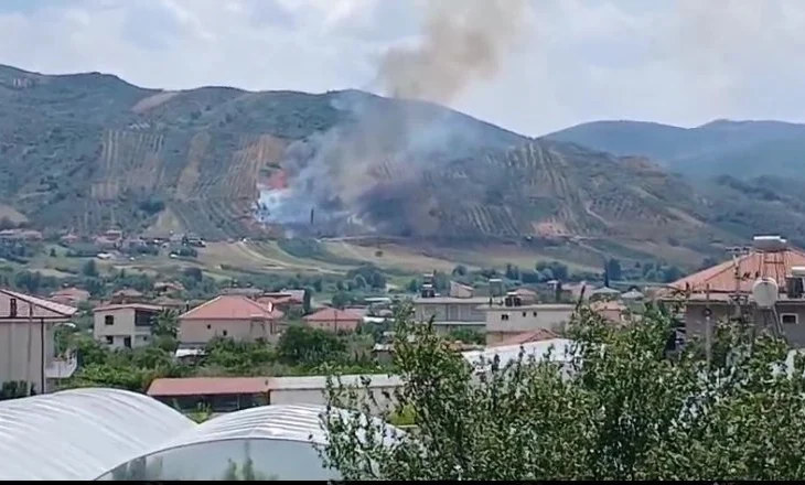 Zjarr në Peqin, banorët dhe zjarrfikësit në terren për të shuar flakët