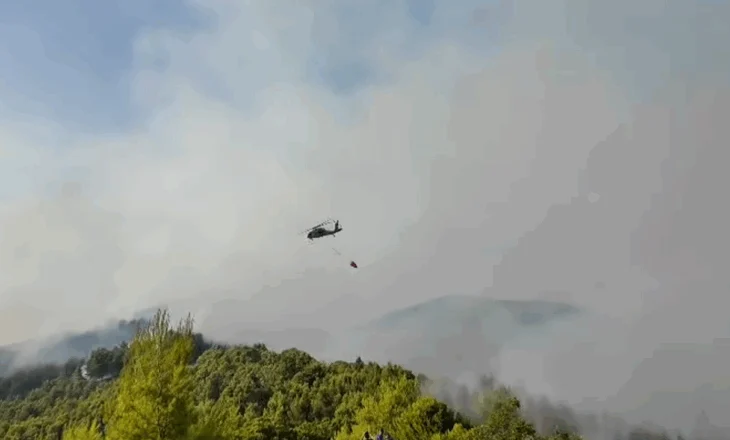 Zjarr në pyllin me pisha, Balluku poston pamjet: Zjarrvënia e qëllimshme dënohet nga Kodi Penal