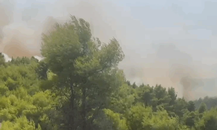 Zjarr në pyllin mes Patosit dhe Mallakastrës, ndërhyjnë Emergjencat dhe helikopteri