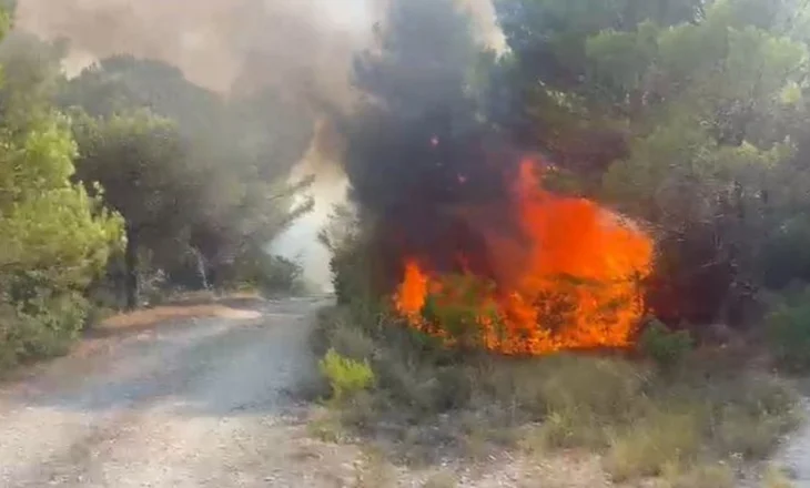 Zjarr në pyllin mes Patosit dhe Mallakastrës, ndërhyn helikopteri