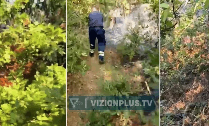Zjarr në sipërfaqe pyjore mbi fshatin Miras, vatra vështirësohet nga era dhe terreni