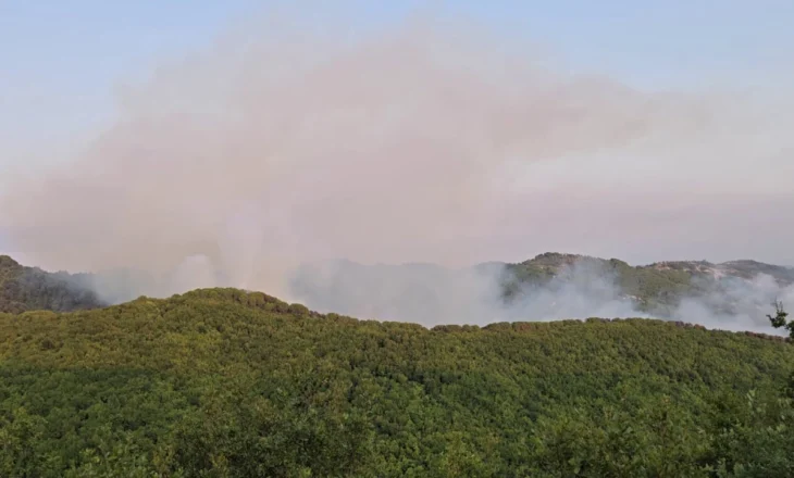 Zjarre në Mallakastër, aktive prej disa ditësh! Gjatë ditës së sotme pritet ndërhyrja me helikopterë
