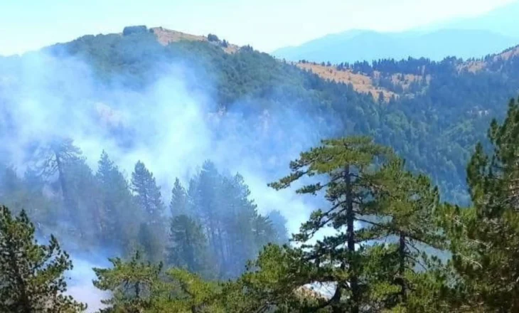 Zjarre nga jugu në veri! Flakët në Korçë kalojnë në territorin grek, aktive prej shumë ditësh vatra në fshatin Xath