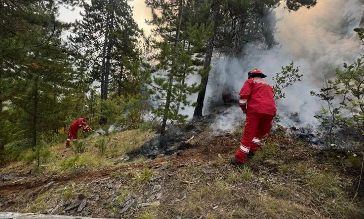 Zjarret/ 23 vatra të regjistruara gjatë orëve të fundit, 4 aktive, situatë problematike në Fushë Arrëz, Gërmenji me…
