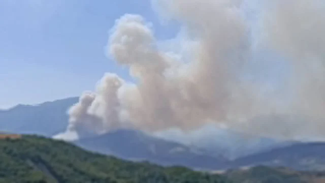 Zjarret masive në Gramsh/ 8 grupe paraqiten në terren për vlerësimin e dëmeve, brenda një jave do t’i dorëzohet…