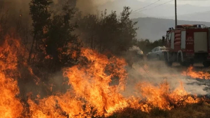 Zjarret masive përfshijnë Malin e Zi, situatë kritike dhe ndërhyrje ndërkombëtare