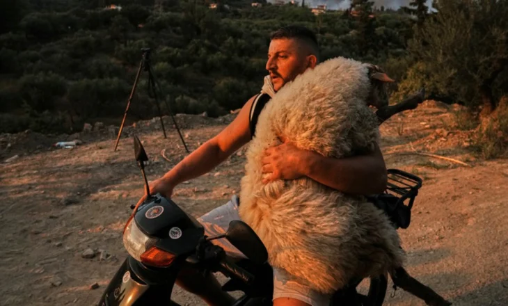 Zjarret në Akai/ I riu shqiptar që u bë viral se shpëtoi delet në motor