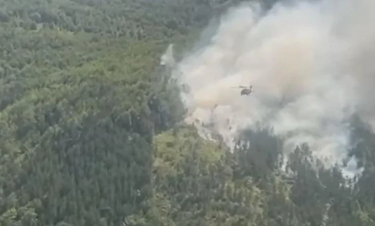 Zjarret në Fushë Arrëz, ministri Vengu: Helikopterët nga Emiratet Arabe janë në terren