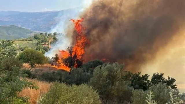 Zjarret në Gramsh/ Vatra aktive në tre fshatra të Skëndërbegasit, flakët përfshijnë edhe Zavalinën
